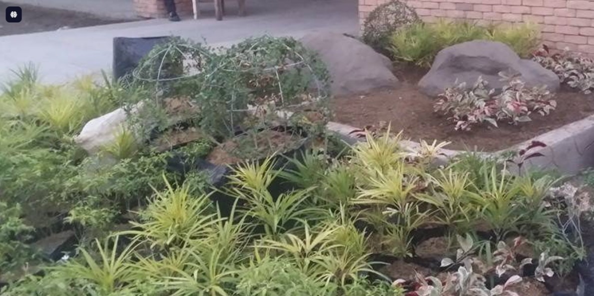 green8scape-princewarehouse-danao-landscape-01